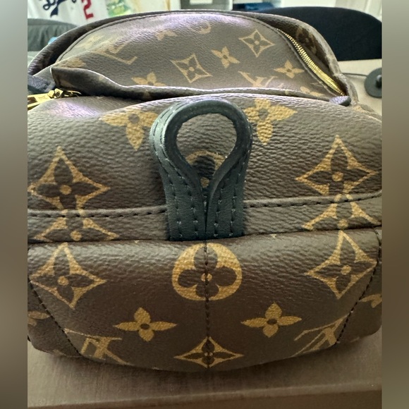 Louis Vuitton Palm Springs Mini Backpack Monogram - Picture 2 of 5